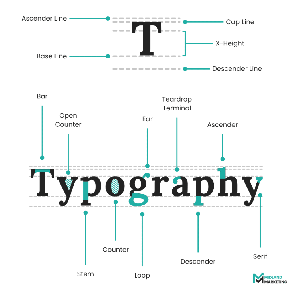 Two illustrations dissecting the different elements of typography, including line guides and "anatomy"